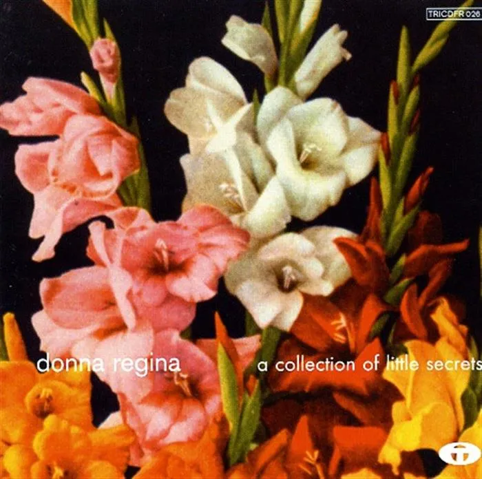 Donna Regina - A Collection Of Little Secrets