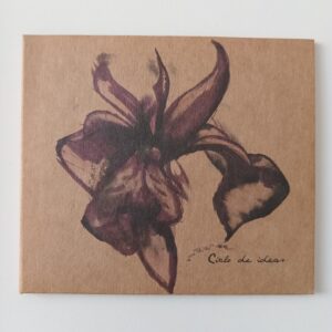 Demian - Ciclo De Ideas